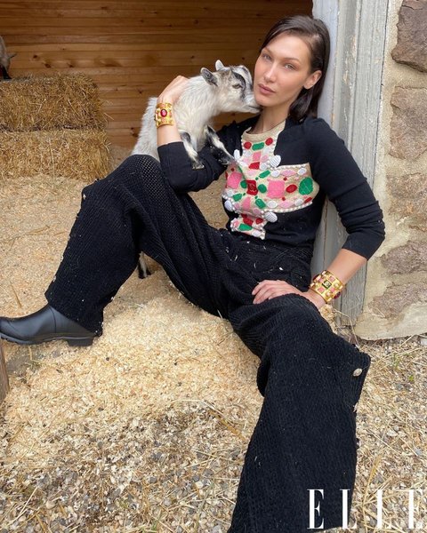 белла хадид