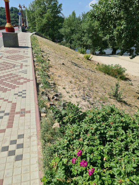 зелень, мост, склоны, фото