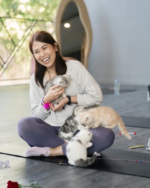 йога котята