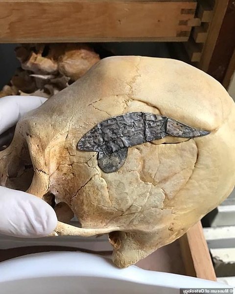 металическая пластина, череп, рука, перчатки, изображение