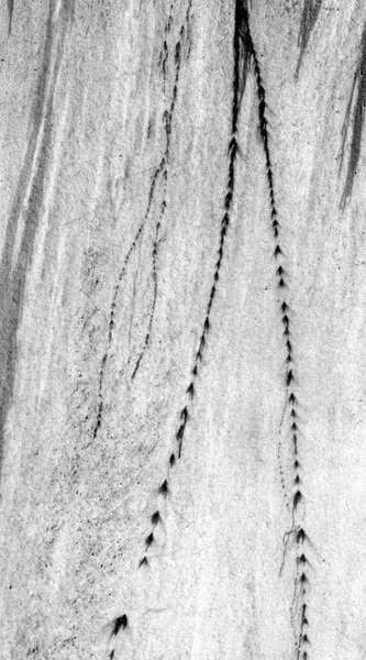 Узоры на Марсе