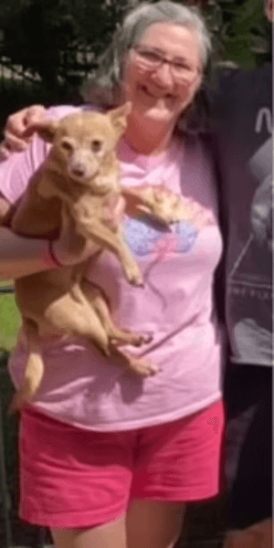 похудение. диета для похудения сардины