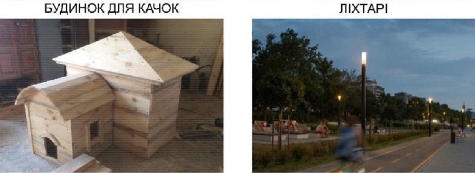 Голосеевский парк, Киев