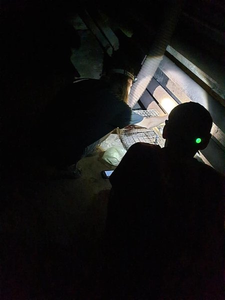 поиски кота в метро, киев