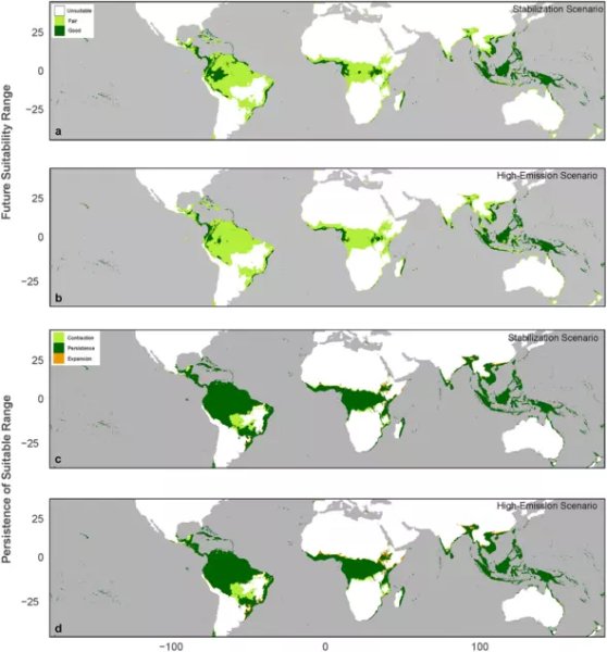території хлібного дерева хлібне дерево, карта хлібного дерева