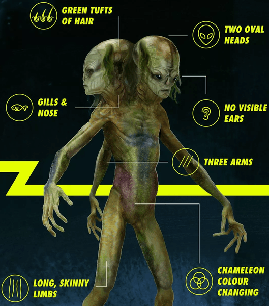 Який вигляд можуть мати інопланетяни, малюнок художника, опитування, інопланетянин, прибульці, зовнішній вигляд, НЛО, позаземне життя