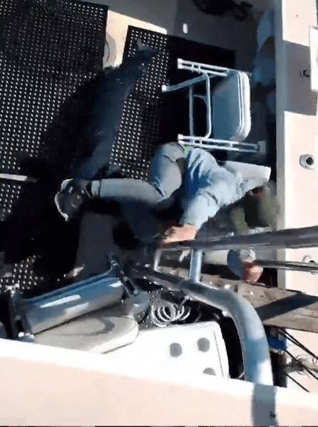 самая быстрая акула в мире, акула-мако,