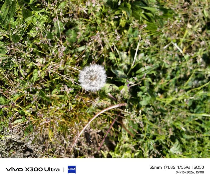 Приклади фото Vivo X300 Ultra