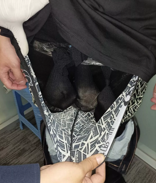 Контрабанда экзотических животных, выдры в трусах, аэропорт, Таиланд, курьезы, фото