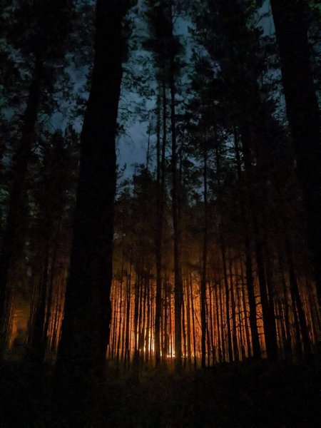 как освобождали изюм