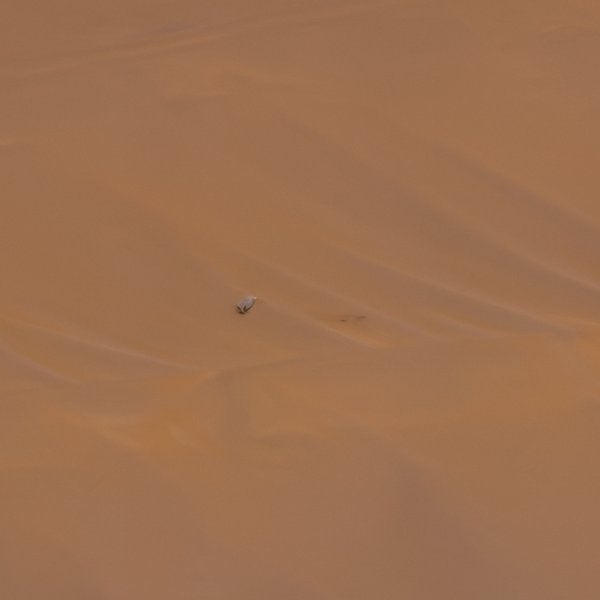 вертолет Ingenuity