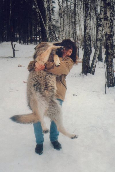 

Марина Шквыря изучает поведение волков в неволе и в диких условиях
