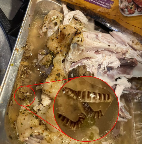 Курица с червями, бракованный товар, покупки, курьезы, фото, Великобритания