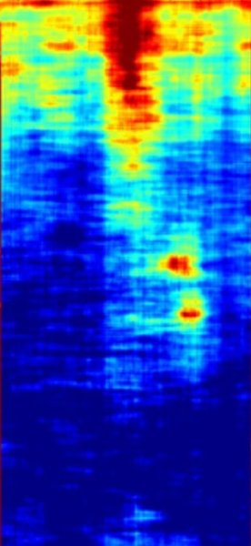 великий сфінкс, Єгипет