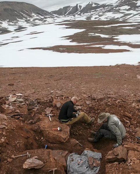 Палеонтологи, раскопки, динозавры, Гренландия