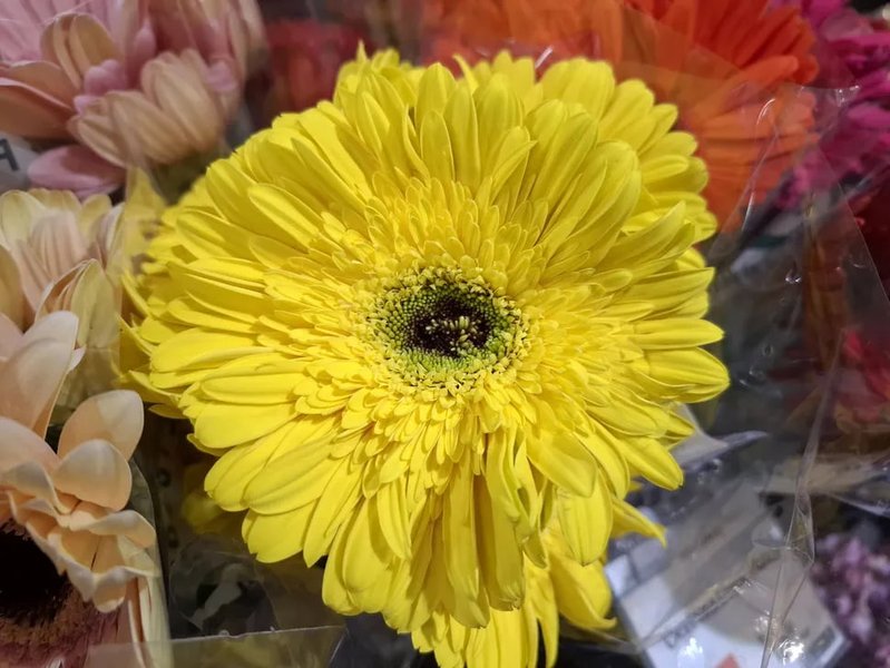 Фото на Samsung Galaxy A37