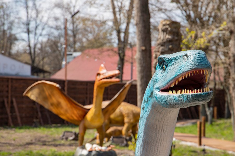 Експозиція парку