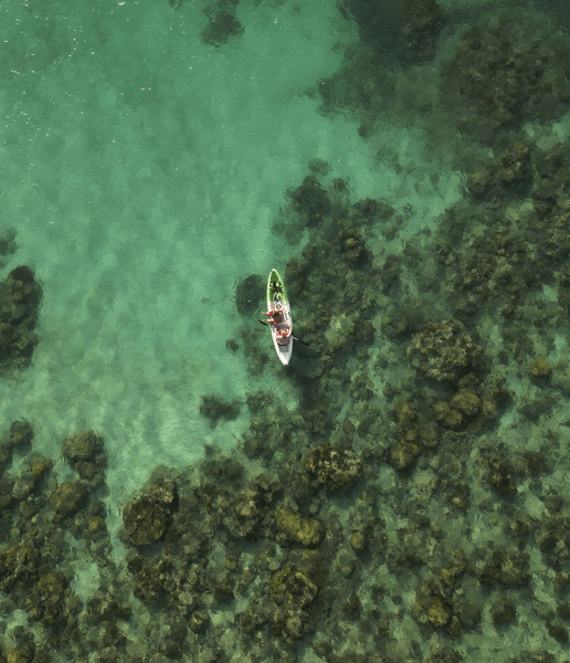 Женщина бесплатно прожила на острове 2 недели, волонтеры, остров, тропический остров, жизнь вдали от цивилизации