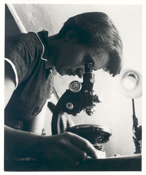 


Розалинд Франклин – MRC Laboratory of Molecular Biology

