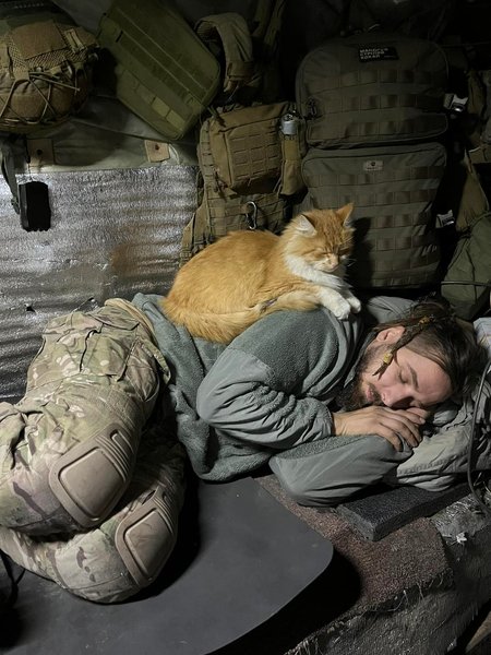 Максим Кривцов