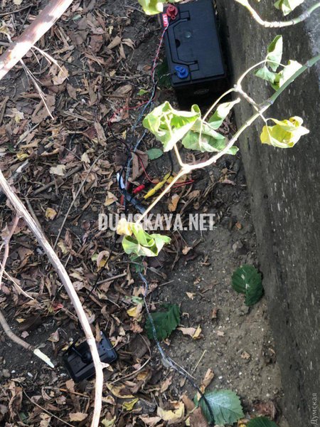 одесса, кандидат, взрыв