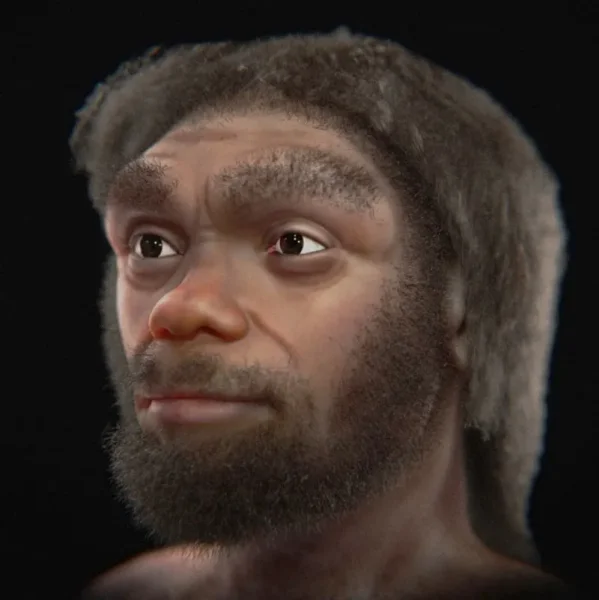 череп, реконструкція, людина-дракон, історія, Китай, неандертальці, вид, гомінін, сучасні люди, денисівці, зовнішність, дослідження, Homo sapiens, Homo longi, еволюція, люди, обличчя, тіло, томографія