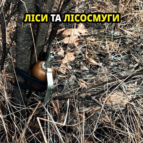 У Херсонській області чоловіки вирішили розібрати FPV-дрон і загинули від вибуху