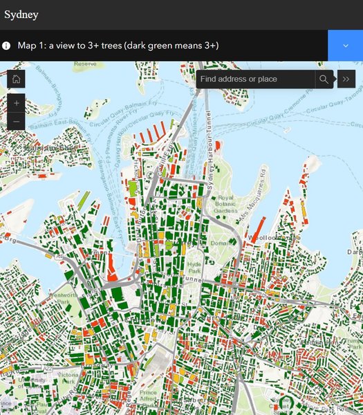 Сідней. дерева в Сіднеї, природа Сіднея