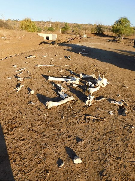 Вчені знайшли додаткові докази