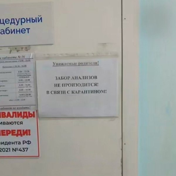 чума Шелехов Росія