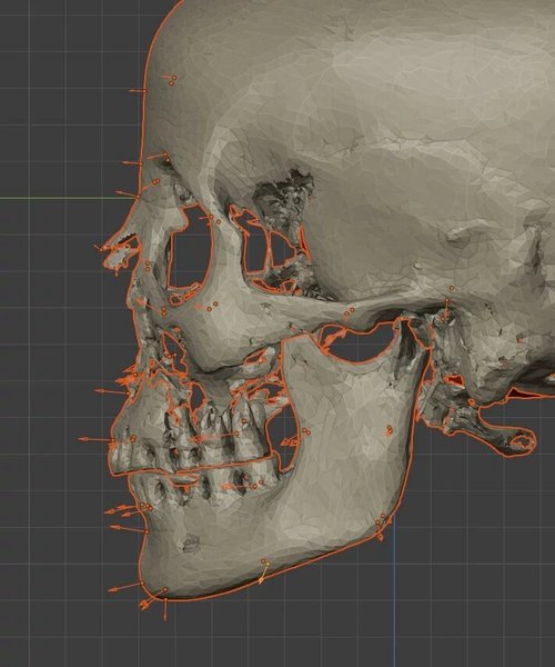 діаграма, мумія, череп, фото