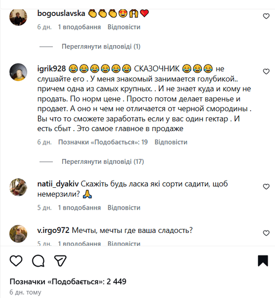 Комментарии пользователей сети