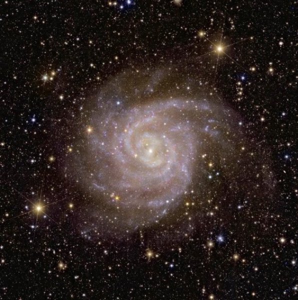 Галактика IC 342 Галактика IC 342