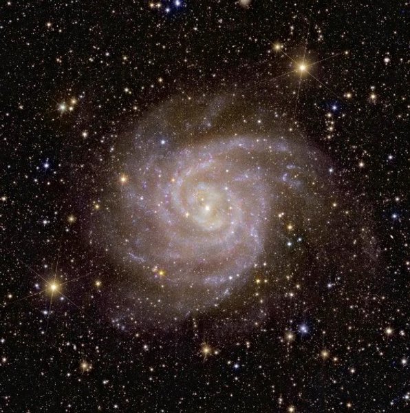 Галактика IC 342