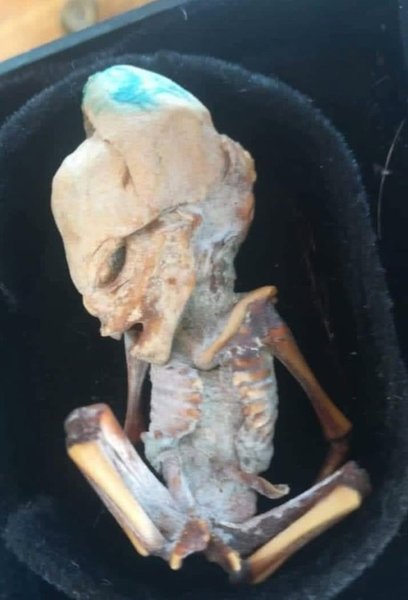 Мужчина нашел скелет пришельца в пещере, необычный скелет, пещеры, мумия, пришельцы, зародыш, гоблин, нашел мумию, скелет пришельца