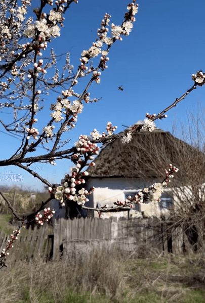 Украинка купила глиняный дом