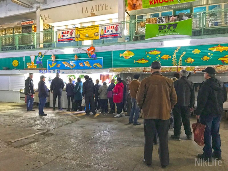 николаев, центральный рынок николаев, николаев война, ситуация в николаеве