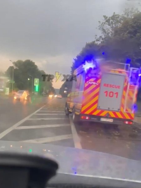 Ивано-Франкисская область — падение дерева на шоссе