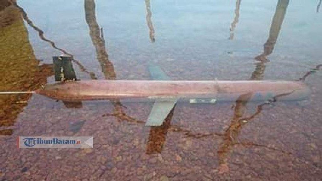 Морське крило