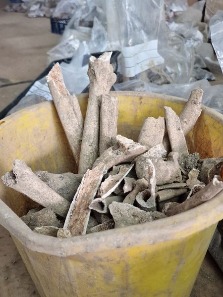 останки, поховання, знахідки