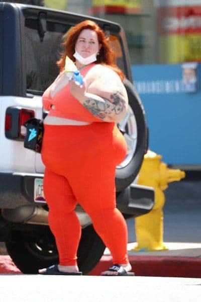 Тесс Холидей, фигура, ожирение