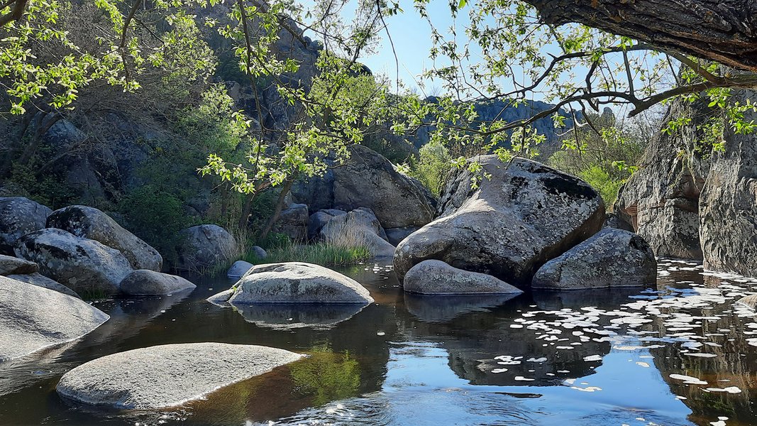 река в Актовском каньоне