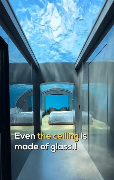 Мандрівники Кара та Нейт показали унікальний підводний готель на Мальдівах, туризм, відпочинок, дизайн