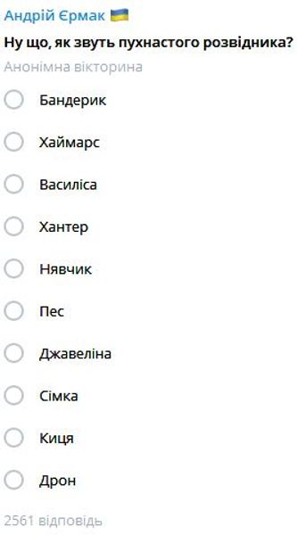 кот, ермак, опрос