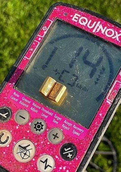 Библия, трава, устройство, фото