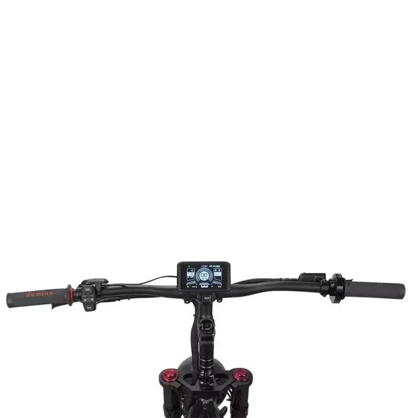 Emove RoadRunner Pro