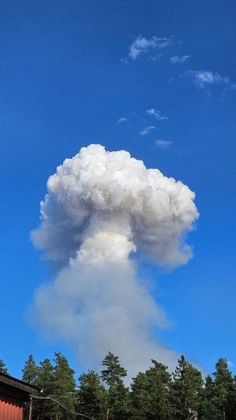 51 грау арсенал2