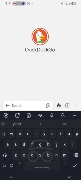 Главная страница браузера DuckDuckGo