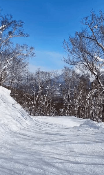 Трассы в Нисеко