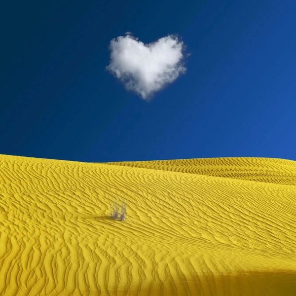 поддержка украины, война в украине, оливье рустен, балмейн